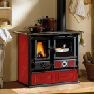 Plīts TERMOROSA DSA 4.0