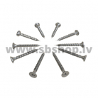 TYCROC Kombi tērauda skrūve M4x55mm (500gab/kaste)