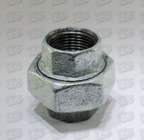 CC Amerikanka FF 1`